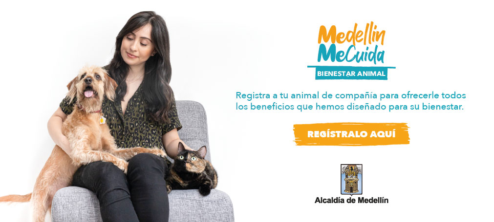 00000000000000000_00000_517_Banner plataforma caracterización_Mesa de trabajo 1 copia